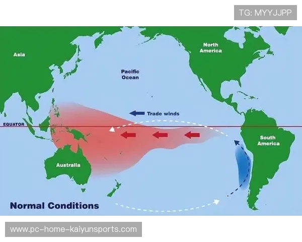 南美新秀欧洲入籍引发地方及商业连锁反应 南美新秀欧洲入籍引发地方及商业连锁反应