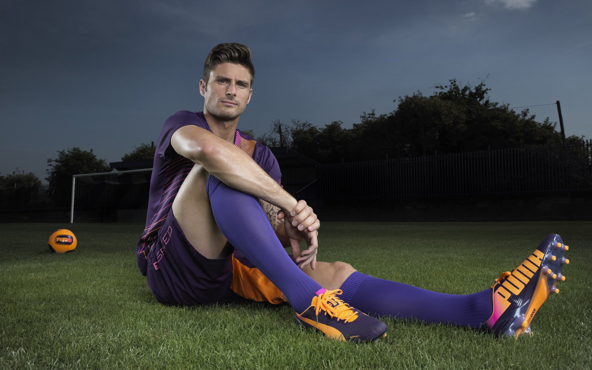 网球赛事观众人数不断增长，网球场观众人数